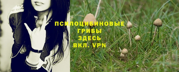 крисы Арсеньев