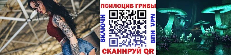 Купить где  Старица  Псилоцибиновые грибы Cubensis 