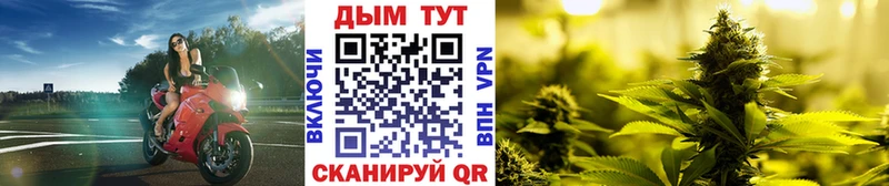 Купить где  Старица  Шишки марихуана Amnesia 